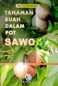 Image of Tanaman Buah dalam Pot : Sawo
